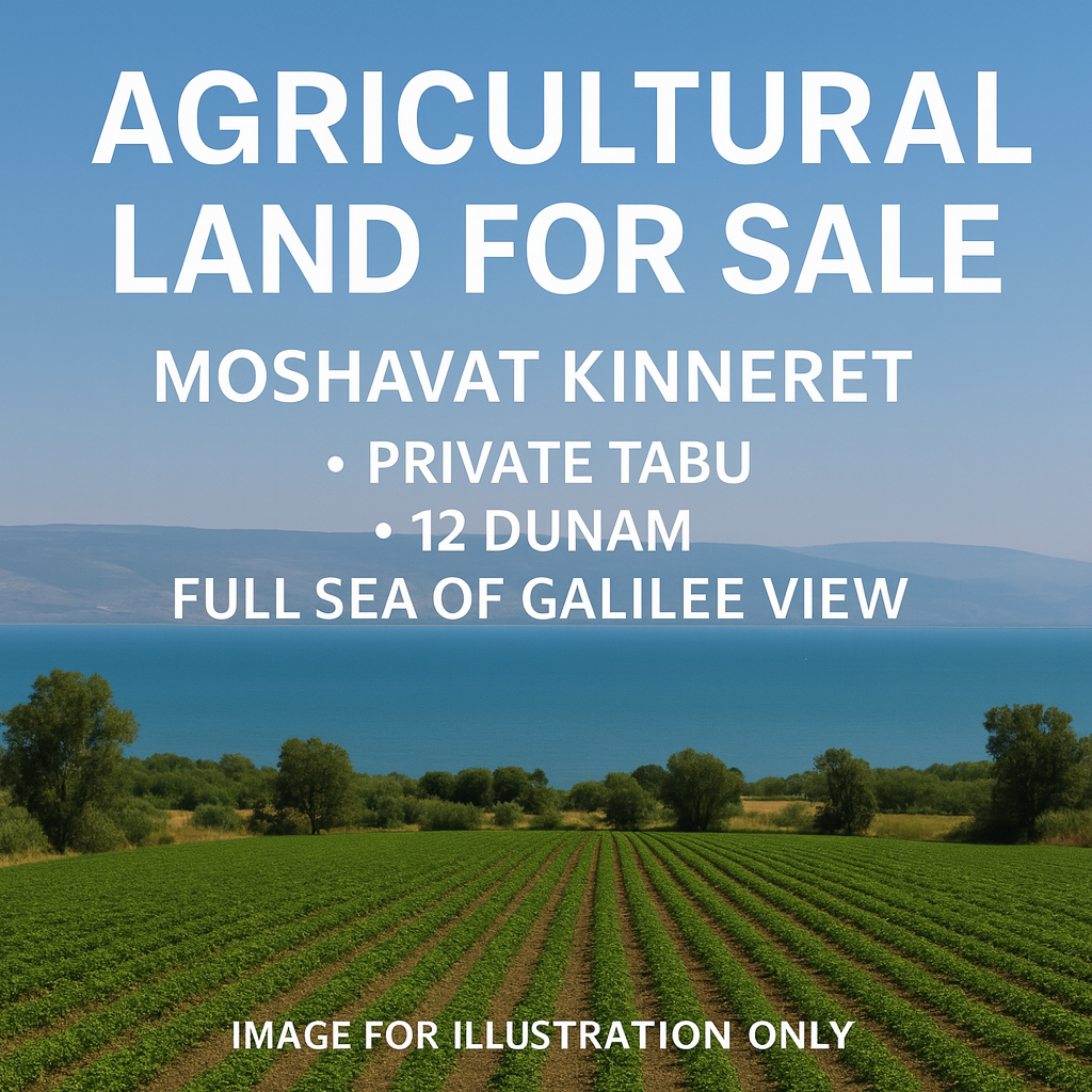 Agricultural Land for Sale in Kinneret – Sea of Galilee View